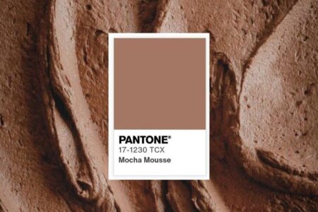 a cor do ano de 2025 é a mocha mousse escolhida pela empresa Pantone