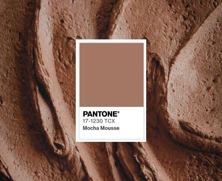 a cor do ano de 2025 é a mocha mousse escolhida pela empresa Pantone